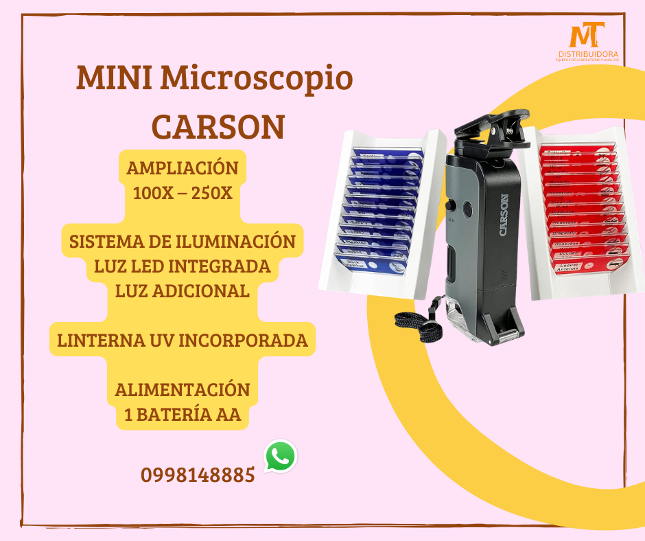Mini Microscopio con muestras de partes de insectos 