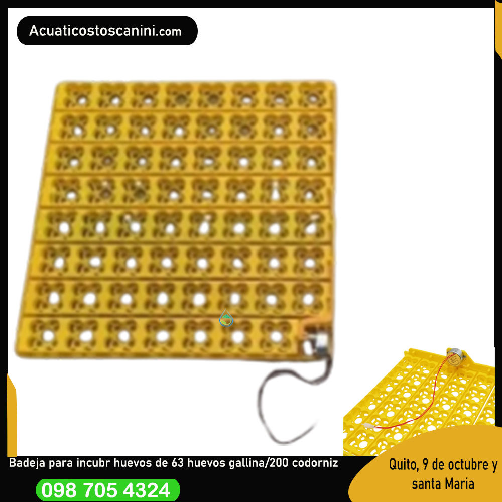 Bandeja Universal a 110V Para 63 Huevos Incubadoras