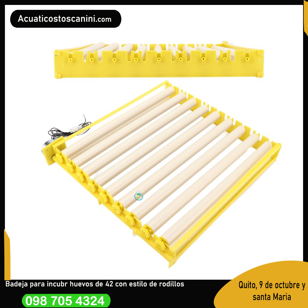 Kit De Rodillo 42 Huevos 100V para Patos Aves Pollos